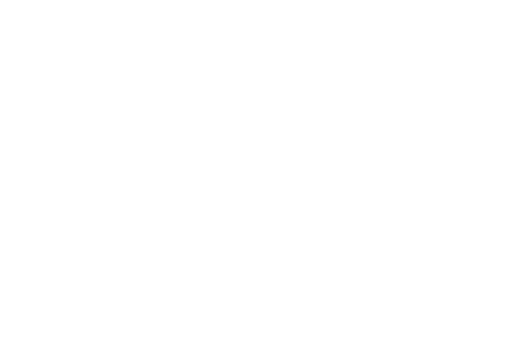 Choice Hotels logo